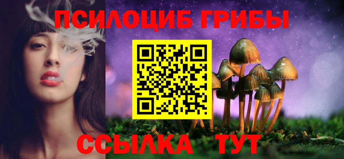 Коряжма  Псилоцибиновые грибы GOLDEN TEACHER  где можно купить   Вход с VPN 